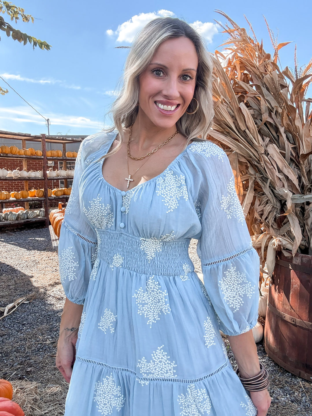 Countyside Stroll Embroidered Maxi Dress