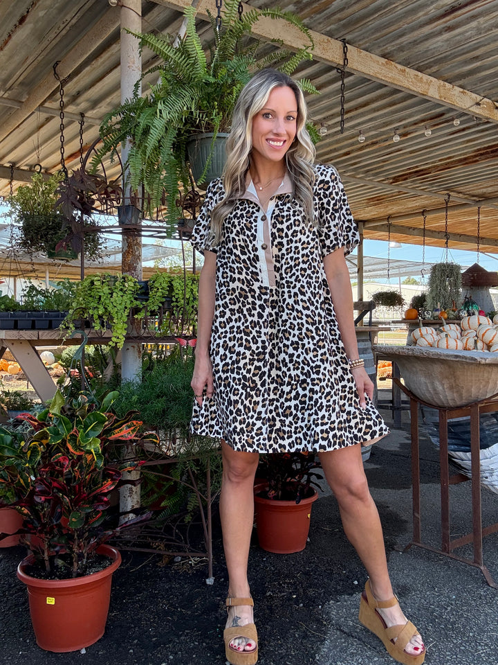 Love for Leopard Dress
