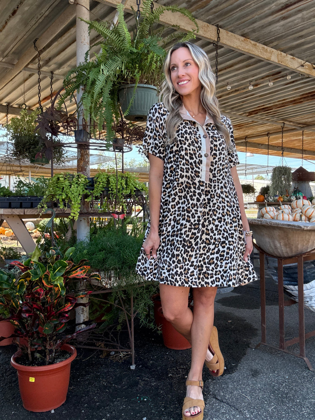 Love for Leopard Dress