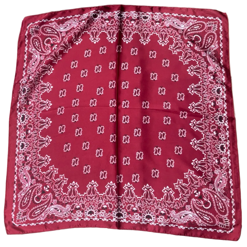 Wear-It-Your-Way Silk Scarf - Burgandy Paisley