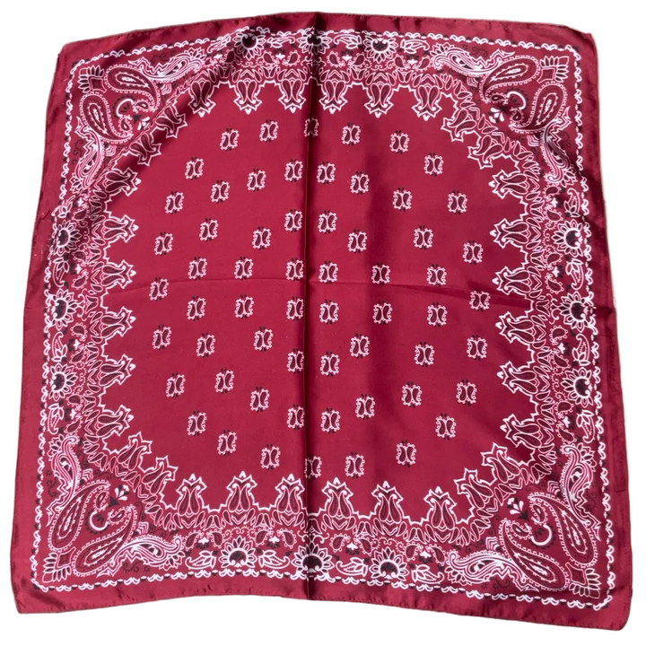 Wear-It-Your-Way Silk Scarf - Burgandy Paisley