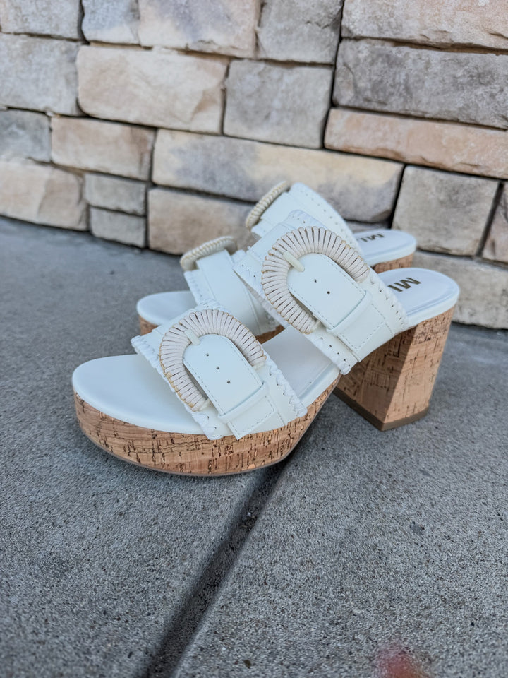 Golden Coast Buckle Slides
