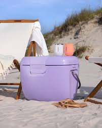 Corkcicle Chillpod Go Cooler in Lilac